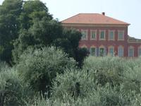 Matissemuseum, Nizza