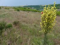 Rousse- Blick zu den Felsenkirchen