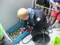 An Deck wird gezeigt, was alles ins Netz ging