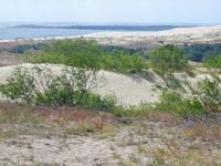 Blick von der großen Düne 