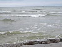 in der Talliner Bucht 