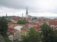 Blick vom Aussichtsplateau auf Tallinn 