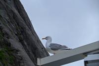 Wer bist du denn? :-)