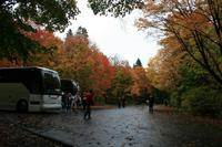 Mittagspause im Algonquin-Park