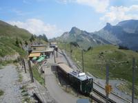 Schynige Platte-