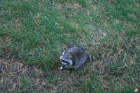Im Omega Wildpark
