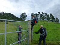 Rothiemurchus Forrest