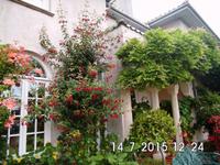 Rückseite von Mrs. Leas`s Wohnhaus