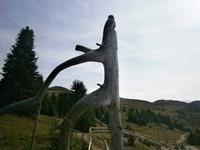 Kunst aus Holz.