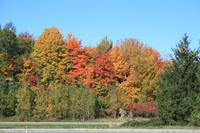 Indian Summer am Lac Taureau