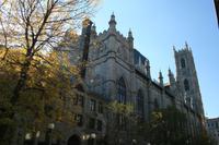 Notre Dame in Montreal