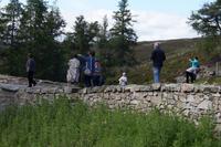 Dort, der Hinterreifen... 