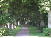 Park am Bosjökloster