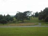 Knightshayes Court