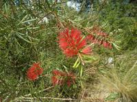 Lost Gardens of Heligan