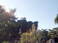 auf dem Töpfer