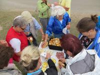 Picknick am Pointe du Raz