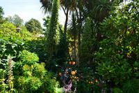 0044 Arundel Castle & Gardenl