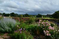 0107 Killerton House & Garden