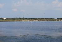 Camargue Landschaft