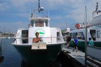 Les bateaux Verts Sainte Maxime