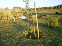 Absolute Ruhe in herrlicher Landschaft