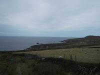 Dingle