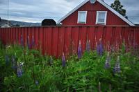 Tromsø - Fjellheisen