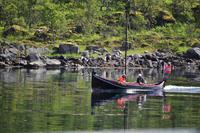 Seeadlersafari im Raftsund