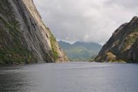 Seeadlersafari im Raftsund - Trollfjord