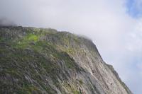 Seeadlersafari im Raftsund - Trollfjord