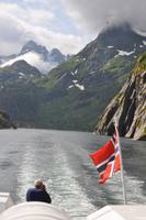 Seeadlersafari im Raftsund - Trollfjord