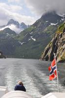 Seeadlersafari im Raftsund - Trollfjord