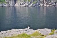 Å i Lofoten
