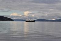 Trondheimfjord - MS Lofoten - Hurtigruten