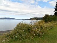 Norsk Jernbanemuseum Hamar-am See