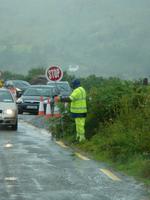 Lebende Ampel im County Kerry
