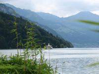 Vierwalstätter See, Brunnen