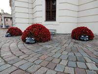 Kunstvolle Blumengestaltung vor dem Rathaus in Kaunas