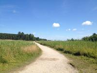 Blick von den Dünen nach Nida