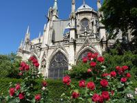 Cathédrale Notre Dame de Paris