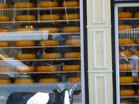 Delft, Markt, Käseladen (Alles Käse)