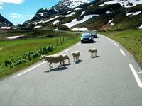 Norwegische Impressionen