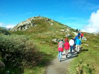 Sognefjell