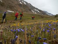 Grönland - Rundreise Reisekombination Island und Grönland 