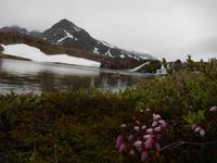 Grönland - Rundreise Reisekombination Island und Grönland 
