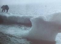 Grönland - Rundreise Reisekombination Island und Grönland 