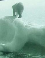 Grönland - Rundreise Reisekombination Island und Grönland 