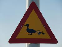 Rundreise Reisekombination Island und Grönland 