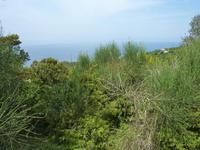 Ausblicke auf die Küste des Cilento